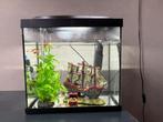 Aquarium 25 liter, Dieren en Toebehoren, Vissen | Aquaria en Toebehoren, Ophalen, Zo goed als nieuw, Leeg aquarium