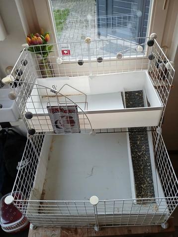 Cavia draadkubus kooi beschikbaar voor biedingen