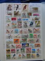 vogels - 1 album kantje (zp-16), Postzegels en Munten, Postzegels | Volle albums en Verzamelingen, Ophalen of Verzenden, Buitenland