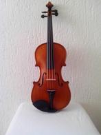 Gliga Gems II viool - Nieuwprijs € 485, Muziek en Instrumenten, Strijkinstrumenten | Violen en Altviolen, Ophalen, Nieuw, 4/4-viool