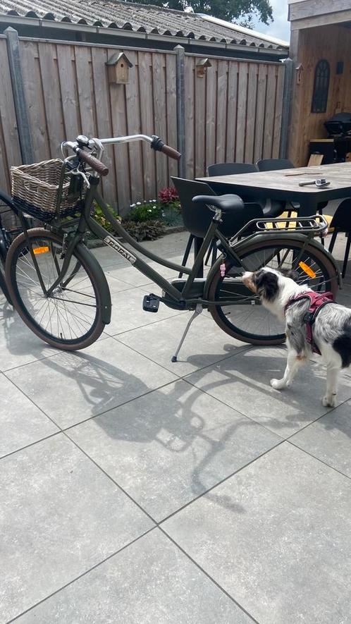 Popal 26 inch fiets, Fietsen en Brommers, Fietsen | Meisjes, Gebruikt, 26 inch of meer, Handrem, Ophalen