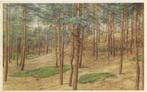 Oldebroek heuvelrand in bos oude ansichtkaart ( 8032 ), Verzamelen, Ophalen of Verzenden, 1940 tot 1960, Gelopen, Noord-Brabant