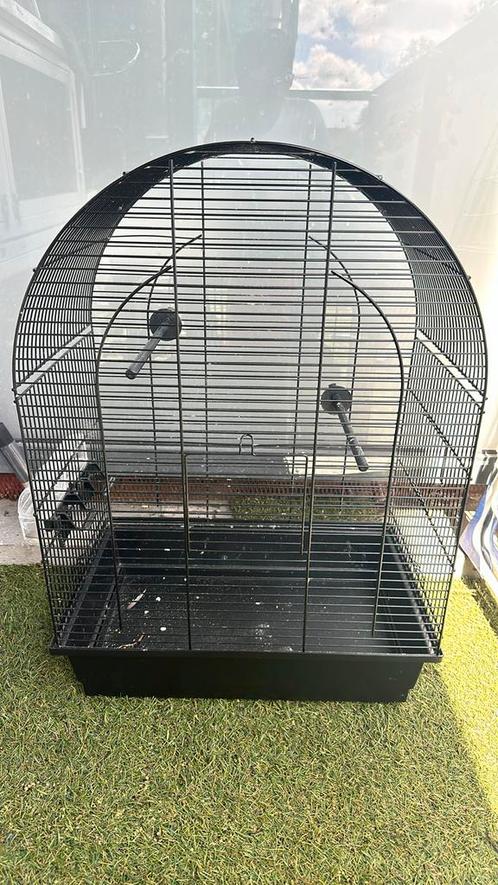 Vogel kooi, Dieren en Toebehoren, Vogels | Hokken en Kooien, Zo goed als nieuw, Vogelkooi, Metaal, Ophalen of Verzenden