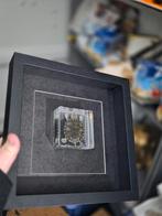 Opgezette schildpadje in lijst taxidermie opgezette dieren, Ophalen of Verzenden, Vogel, Opgezet dier