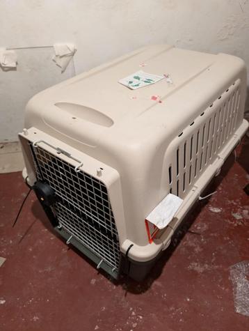 Reiskennel Transportbox Hond (L80xH60xB55) beschikbaar voor biedingen