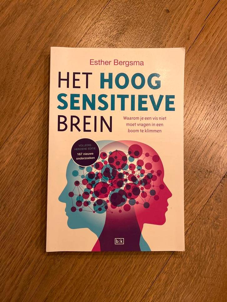 Het hoogsensitieve brein - Esther Bergsma, Boeken, Psychologie, Zo goed als nieuw, Cognitieve psychologie, Ophalen of Verzenden
