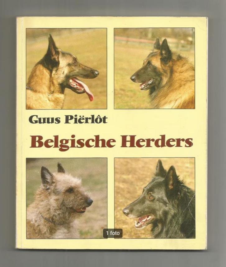 Belgische Herders - Guus Piërlot, Boeken, Dieren en Huisdieren, Zo goed als nieuw, Honden, Ophalen of Verzenden