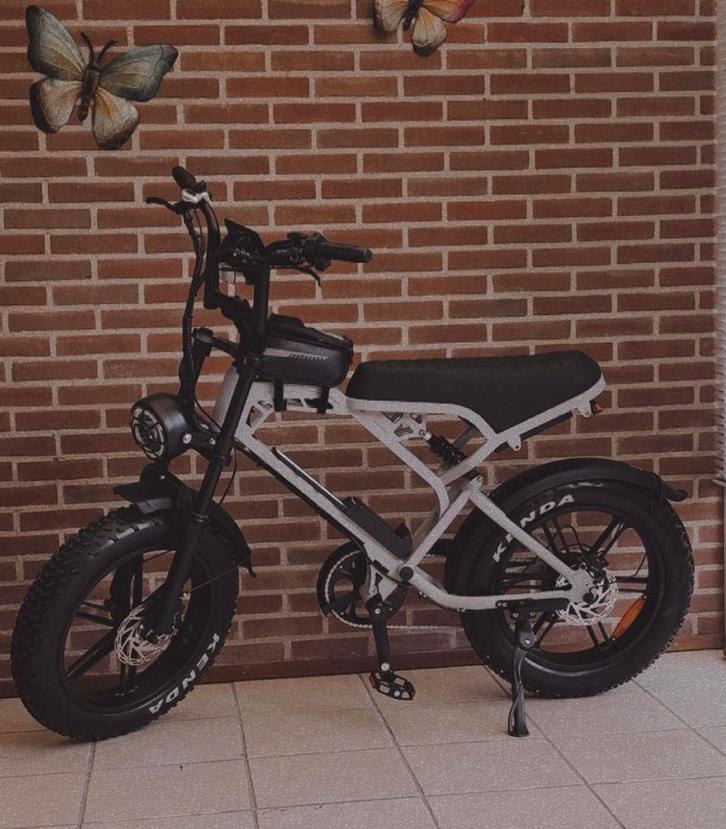 Tekoop, Fietsen en Brommers, Elektrische fietsen, Zo goed als nieuw, Ophalen