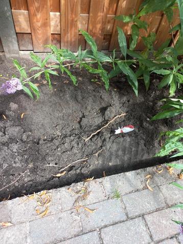 Zwart zand gratis beschikbaar voor biedingen