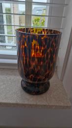 Leuke vaas, Ophalen, Overige kleuren, Minder dan 50 cm, Glas