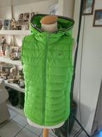 Tommy Hilfiger bodywarmer, Nieuw, Ophalen of Verzenden, Maat 34 (XS) of kleiner, Groen