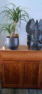 Set teak dressoir en bijpassende kasten., Huis en Inrichting, Kasten | Dressoirs, Ophalen, Gebruikt, 25 tot 50 cm, Teakhout