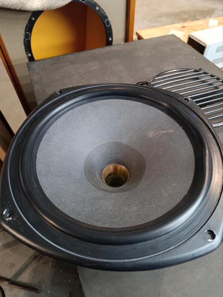 Tannoy CPA12 Luidspreker - Onderdeel of Reparatie, Audio, Tv en Foto, Luidsprekers, Gebruikt, Front, Rear of Stereo speakers, Minder dan 60 watt