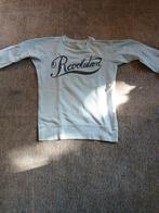 Isabel Marant Trui Grijs XS Revolution, Kleding | Dames, Isabel Marant, Ophalen of Verzenden, Maat 34 (XS) of kleiner, Grijs