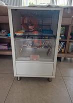Hamsterkooi kast, Ophalen, Kooi, Gebruikt, 60 tot 90 cm