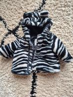 Zebra Jasje HEMA Maat 56, Jongetje of Meisje, Ophalen of Verzenden, Zo goed als nieuw, HEMA