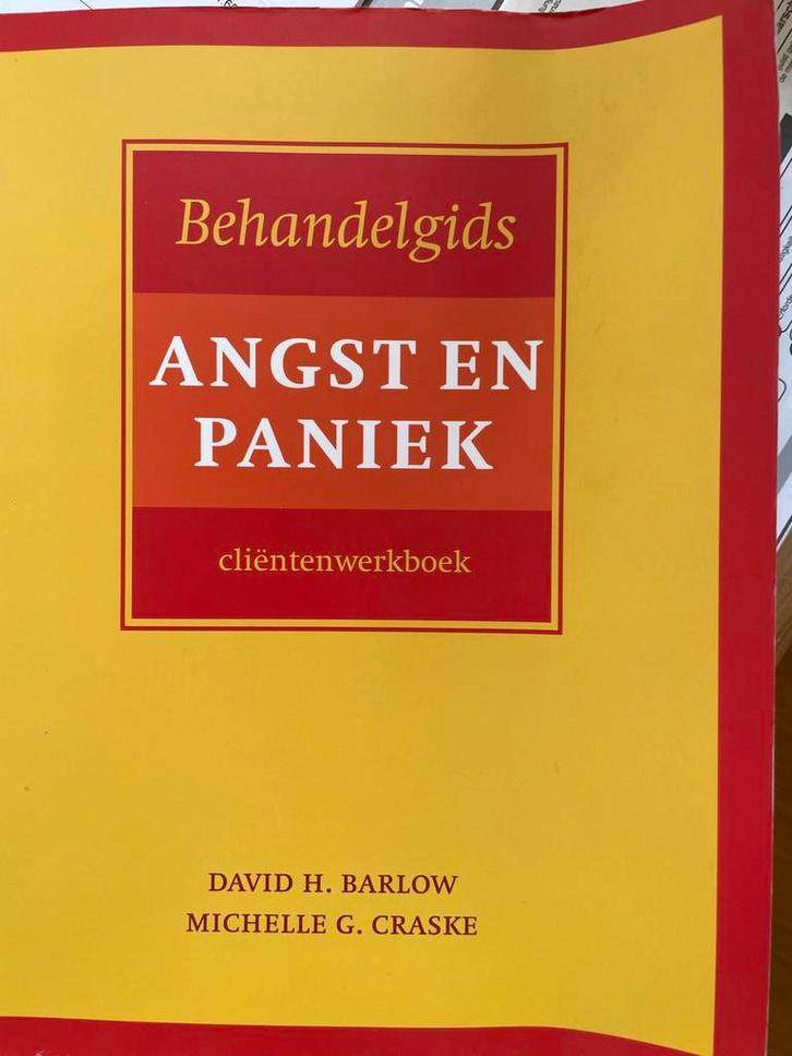 Behandelgids Angst en Paniek - Barlow & Craske, Boeken, Psychologie, Zo goed als nieuw, Klinische psychologie, Ophalen of Verzenden