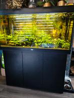 Aquarium 120x50x60, Dieren en Toebehoren, Vissen | Aquaria en Toebehoren, Ophalen, Gebruikt, Gevuld zoetwateraquarium