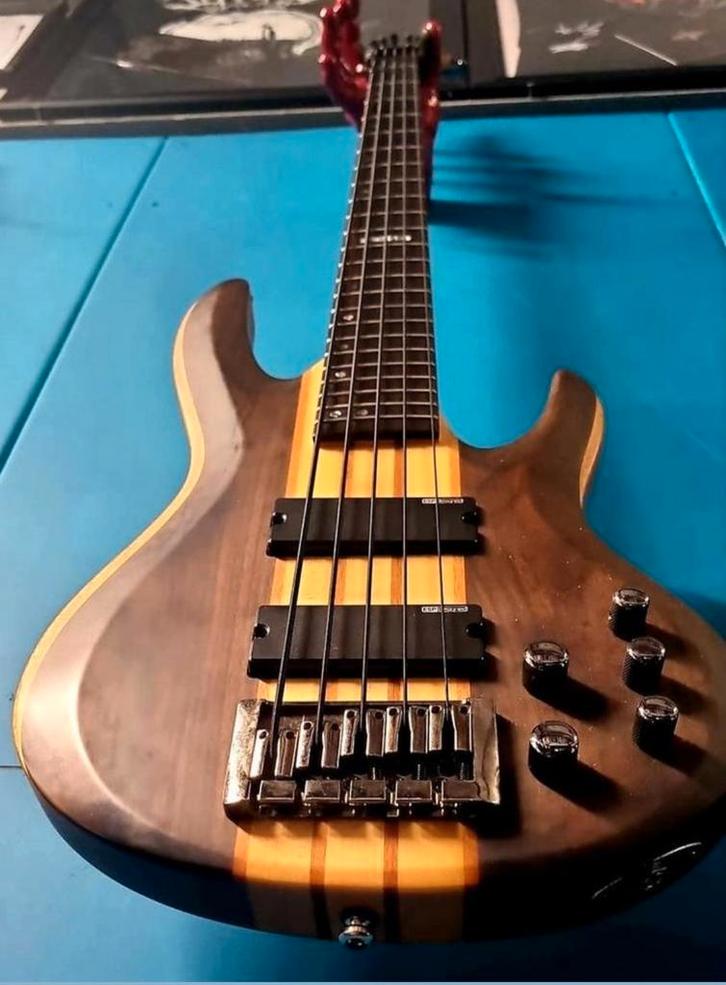 ESP LTD B5E Bass, Muziek en Instrumenten, Snaarinstrumenten | Gitaren | Elektrisch, Zo goed als nieuw, Solid body, Overige merken