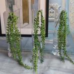 Kunst Vetplant 40cm / Nep Kunstplant Hangplant Erwtenplant, Verzenden, Nieuw