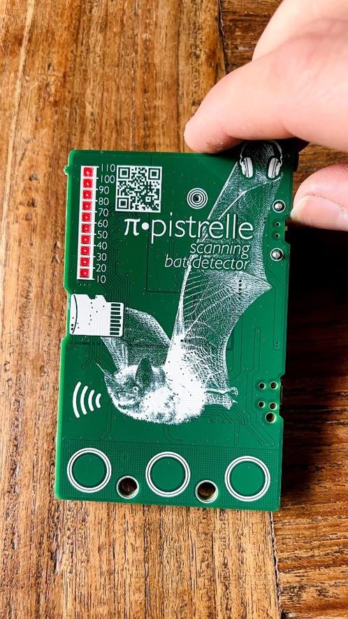 Pipistrelle Bat Detector – Ontdek de wereld van vleermuizen, Hobby en Vrije tijd, Elektronica-componenten, Nieuw, Ophalen of Verzenden