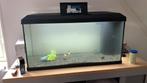 Aquarium Juwel 110L, Dieren en Toebehoren, Ophalen of Verzenden, Zo goed als nieuw, Leeg aquarium