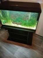 Juwel aquarium te koop, Dieren en Toebehoren, Vissen | Aquaria en Toebehoren, Ophalen of Verzenden, Gevuld zoetwateraquarium