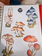 5 knipvellen nr 9718 paddestoelen, Hobby en Vrije tijd, Kaarten | Zelf maken, Ophalen of Verzenden, Nieuw