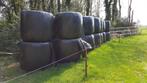 Grote ronde balen Paarden hooi, Dieren en Toebehoren, Ophalen, Vee