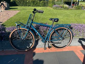 Cortina milo de luxe  beschikbaar voor biedingen