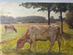 Evert Rabbers schilderij met koeien, Ophalen of Verzenden