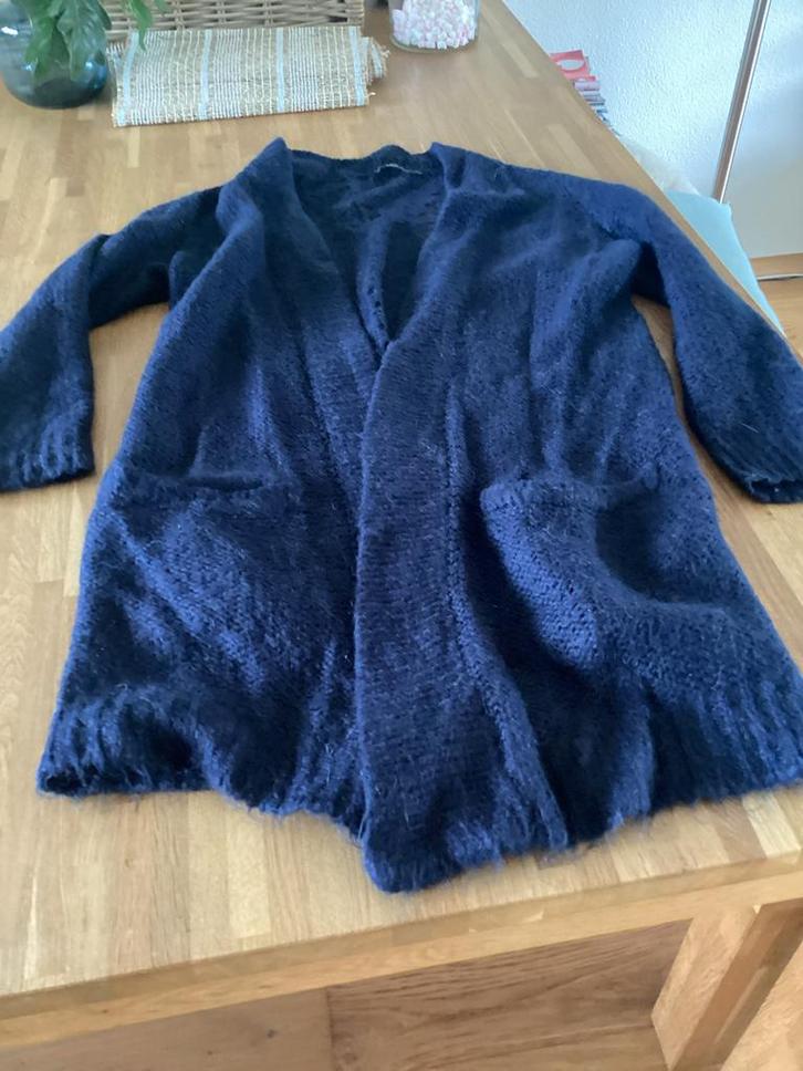 Blauw Summum vest maat S, Kleding | Dames, Truien en Vesten, Gedragen, Maat 38/40 (M), Blauw, Ophalen of Verzenden