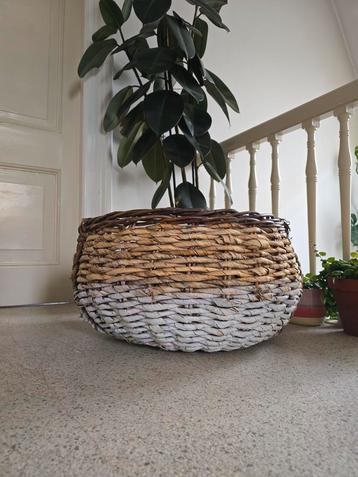 XXL waterdichte mand voor planten 60cm beschikbaar voor biedingen