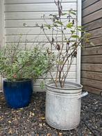 Brocante emmer bloempot emaille, Tuin en Terras, Bloembakken en Plantenbakken, Minder dan 30 cm, Minder dan 60 cm, Rond, Ophalen of Verzenden