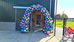 Ballonnendecoraties maken, Ophalen, Nieuw, Overige typen, Overige