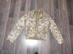 gevoerde damesjas van RARE/RAER ( maat S ), Kleding | Dames, Ophalen of Verzenden, Zo goed als nieuw, Maat 36 (S)