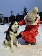 Dogsitter / Petsitter Rotterdam, Mei, Vrouwelijk