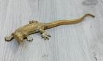 vintage messing hagedis salamander, Antiek en Kunst, Ophalen