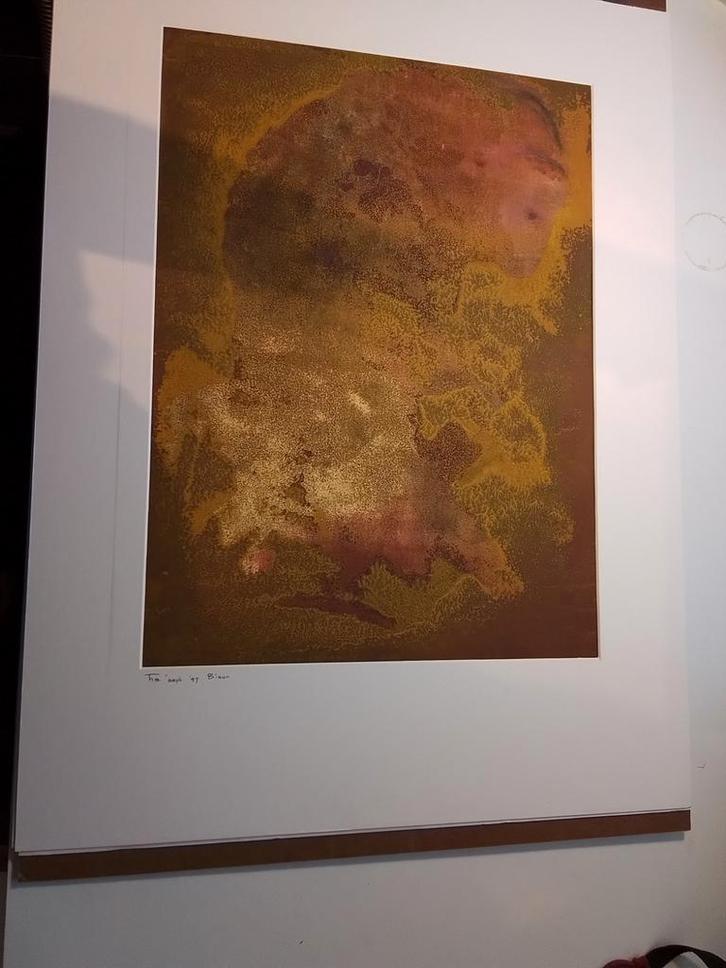 Mixed media schilderij "Bison", Antiek en Kunst, Kunst | Schilderijen | Abstract, Ophalen of Verzenden