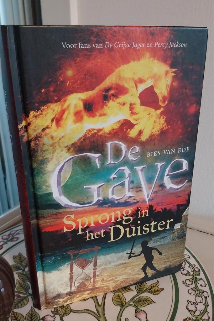 De Gave: Sprong in het Duister - Bies van Ede, Boeken, Fantasy, Ophalen of Verzenden