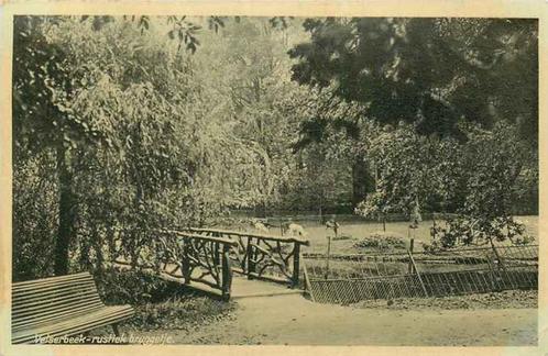 (301-147-013) Velsen Rustiek Bruggetje, Verzamelen, Ansichtkaarten | Nederland, Noord-Holland, Verzenden
