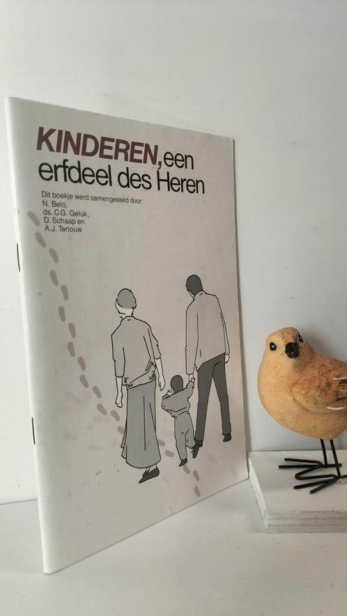 Belo, N. e.a ; Kinderen, een erfdeel des Heren, Boeken, Godsdienst en Theologie, Gelezen, Christendom | Protestants, Ophalen of Verzenden