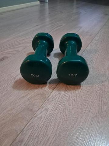 2 Kilo Gewichten - Goede Staat beschikbaar voor biedingen
