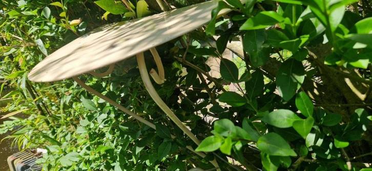 Mooie metalen muur console /wandhanger (brocante), Tuin en Terras, Tuinwanddecoratie, Gebruikt, Ophalen of Verzenden