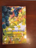 Adembenemend - Bernhard Reitsema, Ophalen of Verzenden, Zo goed als nieuw, Christendom | Protestants