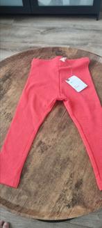 Hema legging maat 80, Ophalen of Verzenden, Nieuw, Meisje, Broekje