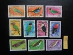 suriname - diverse vogels (zz-136), Ophalen of Verzenden, Gestempeld
