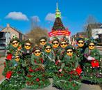 Carnavalskostuums: Kerstbomen met muts en trui, Kleding | Dames, Carnavalskleding en Feestkleding, Ophalen, Nieuw, Carnaval