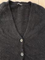 Anne Claire donkerblauw vest, Maat 42/44 (L), Anne Claire, Gedragen, Verzenden