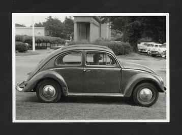 VW Kever Auto 2CV Poodle in Bug. beschikbaar voor biedingen